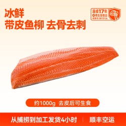 龙羊峡 冰鲜去刺带皮三文鱼柳