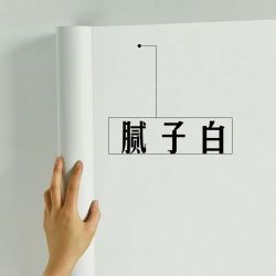 龙抬头 腻子白壁纯白色墙墙纸壁纸3D客厅自粘房间护墙贴批发出租房