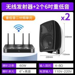 先科 K1 重低音 壁挂式音响