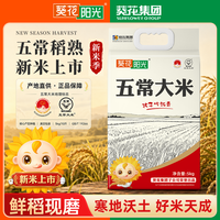 葵花阳光 五常大米长粒大米软糯香甜回甘五常原产地直发GB/T19266