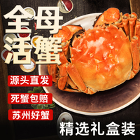 湖中秋色 全母大闸蟹3.0-3.3两8只 螃蟹鲜活海鲜生鲜中秋盒 源头直发 全母3.0-3.3两8只