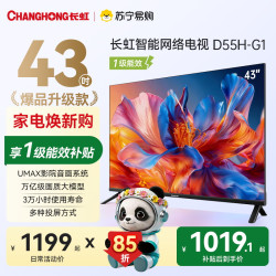 长虹 电视 43D55H-G1