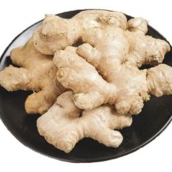 山东大姜生姜老姜优质出口月子姜风干姜现挖鲜姜新鲜老黄姜食用