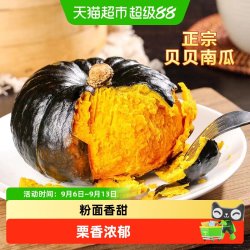 瓜憨憨 正宗贝贝南瓜新鲜粉面香甜板栗味老南瓜宝宝辅食