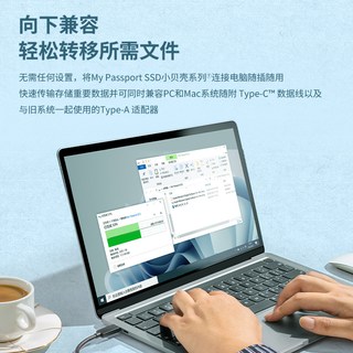 闪迪 移动固态硬盘