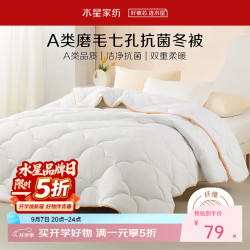 百丽丝 A类七孔透气冬被 冬被 220cm×240cm
