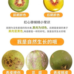 纤果莱 产地直发四川红心猕猴桃奇异果时令新鲜当季孕妇甜水果整箱包邮