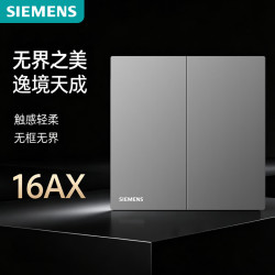 西门子 开关面板 16AX二开单控 暗装开关 蕴逸深灰银5TA4321-5NC02