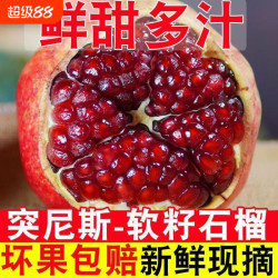 纤果莱 会里突尼斯软籽石榴新鲜现摘现发籽粒饱满当季孕妇水果自然红宝石