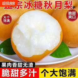 正宗羊脂秋月梨脆甜爆汁新鲜水果冰糖梨子雪梨新鲜发货