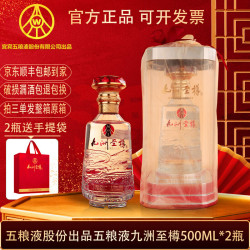 一尊天下 五粮液股份出品 浓香型白酒 纯粮酿造 52度 白酒 酒