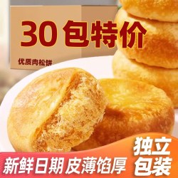 真臣 正宗肉松饼面包整箱早餐充饥夜宵糕点点心宿舍小零食小吃休闲食品