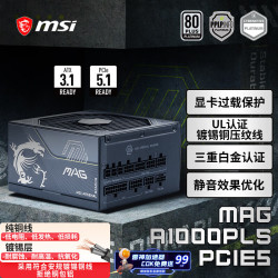 微星 MAG A1000PLS PCIE5战斧导弹