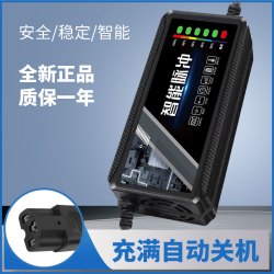 迈威普 电动车充电器通用电瓶48v12ah60v20a72v适用于爱玛雅迪铅酸石墨烯