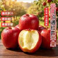 贡鲜果农 云南昭通红露苹果 净重4.5-5斤60-69mm