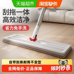 好媳妇 拖把家用一拖净免手洗带刮条懒人平板拖地吸水除尘墩布