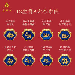 九华山 合金手链手绳十二生肖本命年红绳龙蛇（普贤菩萨）
