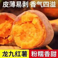北森南屿 新鲜龙九蜜薯沙地番薯黄心蜜薯 带箱9斤大果（单果约300g+）