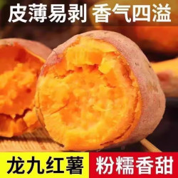 北森南屿 新鲜龙九蜜薯沙地番薯黄心蜜薯 带箱9斤大果（单果约300g+）