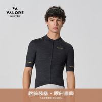 回声夏季透气速干公路自行车骑行服短袖上衣男士新薄款高弹力紧身 回声深灰男款短上衣 L