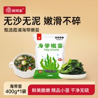 鲜珥家 霞浦特产嫩海带苗鲜嫩食材凉拌海带芽裙带菜400g