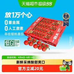 一颗大 玲珑串樱桃番茄 1kg