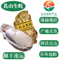 乳山生蚝 特大牡蛎海蛎子 生鲜中秋国庆送礼海鲜水产贝 9斤家庭装 2-3两/个