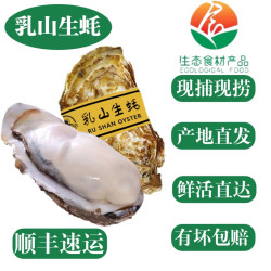 乳山生蚝 特大牡蛎海蛎子 生鲜中秋国庆送礼海鲜水产贝 9斤家庭装 2-3两/个