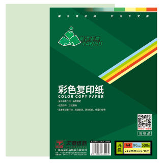 TANGO 天章 A4彩色复印纸 浅绿色 80g 500张/包*1包