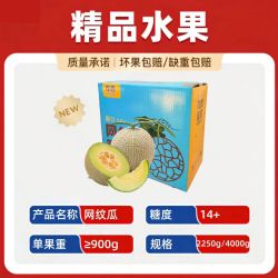 夜穆 网纹蜜瓜哈密瓜玫蜜珑玲珑瓜4.5斤彩箱礼盒
