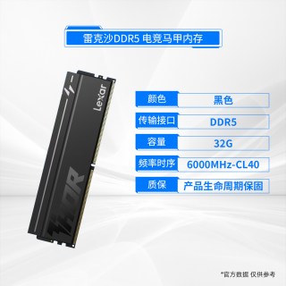 雷克沙 DDR5 6000 32GB 套条 台式内存条CL40雷神马甲INTEL旗舰店