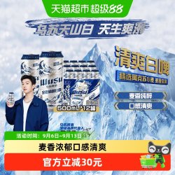 乌苏啤酒 白啤酒 500ml