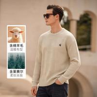 POLOVILLAE 春秋男式毛衣百搭套头上衣舒适针织衫男