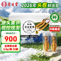 睿生堂 冬虫夏草0.8g/根 30根鲜虫草礼盒冷鲜空运送滋补品送父母长辈