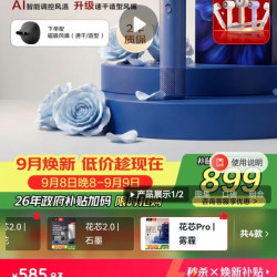 Panasonic 纳诺怡速干护发 电吹风  雾霾蓝