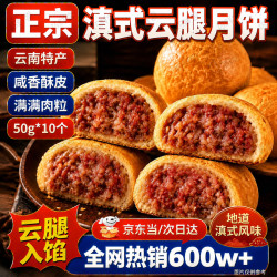 巧鲜尝 云腿月饼云南特产传统老中式自己吃滇式鲜火腿肉小饼独立包装500g