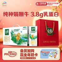 伊利 SATINE 金典 3.8g蛋白质 娟姗纯牛奶 250ml*12盒