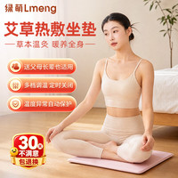 LMENG 艾灸坐垫电加热艾草热敷毯艾绒办公室坐灸垫女臀部发热教师节礼物