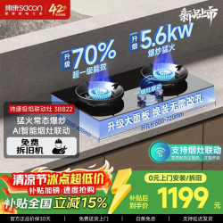 帅康 燃气灶70%热效率 家用猛火双灶 台嵌两用
