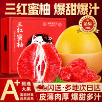 旭霁 福建 三红肉葡萄甜红柚中秋礼物盒 5斤精选果送开果器