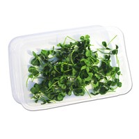 绿食者 三叶草 1盒 其他肉类