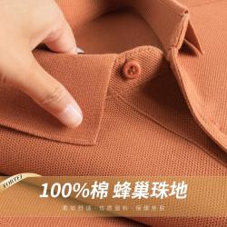 富铤 秋季纯棉T恤男式商务长袖Polo衫