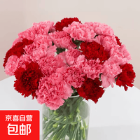 康乃馨鲜花花束家用水养云南昆明基地直发母亲节教师节妇女节礼物 康乃馨随机单色不挑色10枝