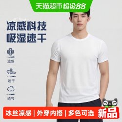 顶瓜瓜 冰丝男t恤夏季新款男士速干透气短袖男款宽松运动健身半袖