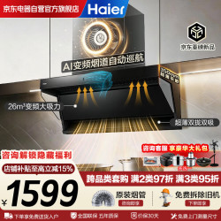 海尔 变频巡航顶侧双吸抽油烟机 26立方大吸力 烟灶联动 900Pa静压高频自清洁家用油烟机EC736UD