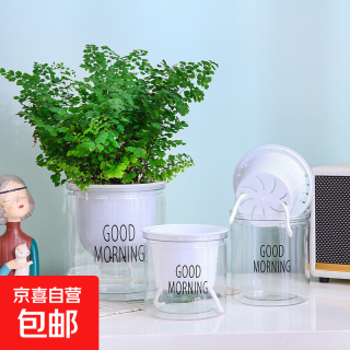 塑料树脂透明懒人自吸水 100#外径11*高10cm 透明款带LOGO+定植篮+棉绳