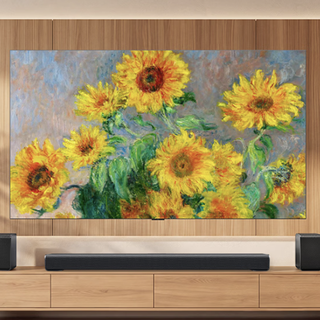 TCL 98Q9M Art 液晶电视 98英寸 固定挂架