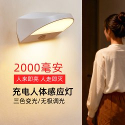 楼王 新款充电入户门口楼道感应灯人来即亮人走即灭门厅门前走廊免接线
