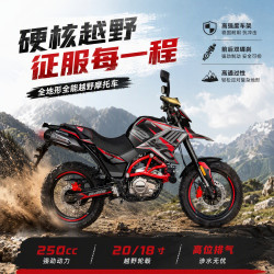 炙焱动力TEKKEN铁拳250 燃油摩托车前后ABS拉力越野性价比玩乐 26款红色