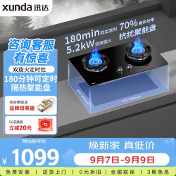 迅达 燃气灶天然气灶家用双灶具嵌入式台式两用5.2KW旋流火双边定时 D2-天然气